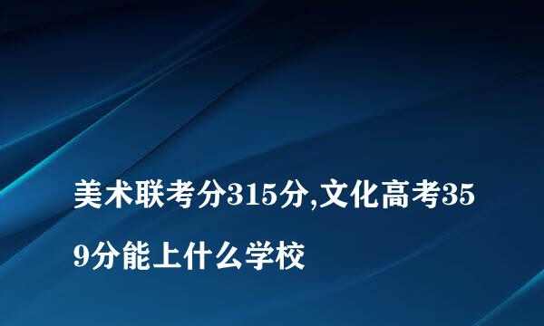 
美术联考分315分,文化高考359分能上什么学校
