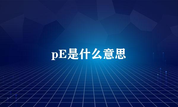 pE是什么意思