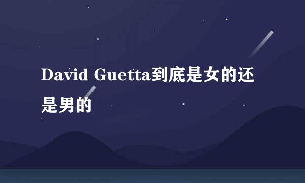 David Guetta到底是女的还是男的