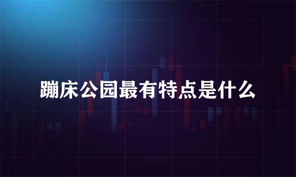 蹦床公园最有特点是什么