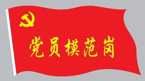 如何发挥党员的先锋模范带头作用