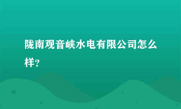 陇南观音峡水电有限公司怎么样？