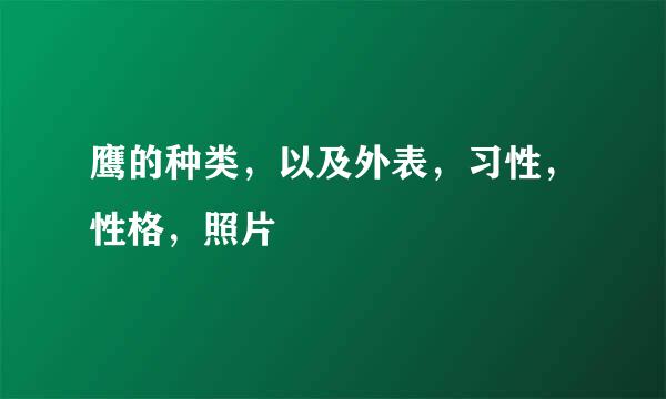 鹰的种类，以及外表，习性，性格，照片