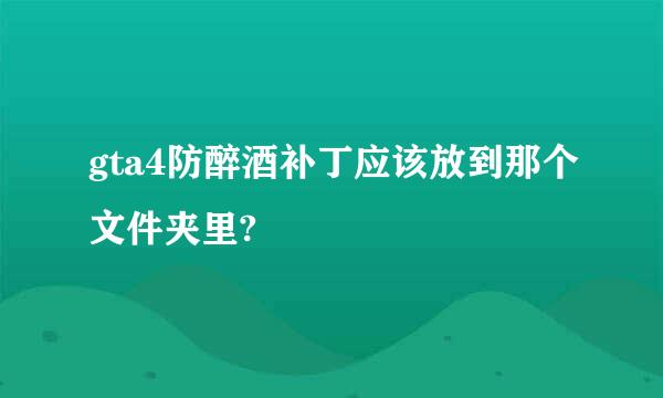 gta4防醉酒补丁应该放到那个文件夹里?