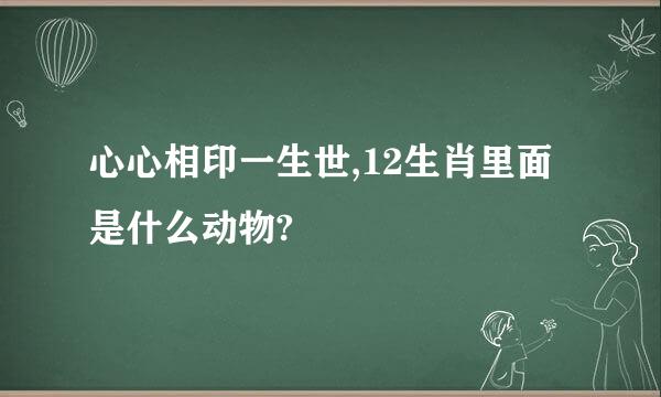 心心相印一生世,12生肖里面是什么动物?