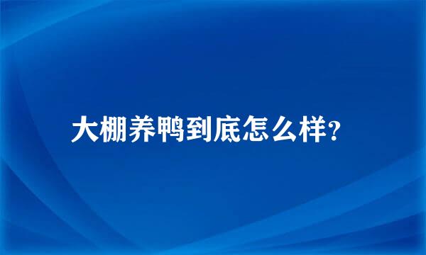 大棚养鸭到底怎么样？