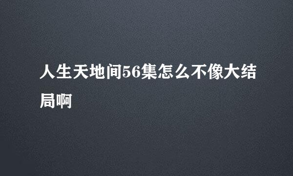 人生天地间56集怎么不像大结局啊