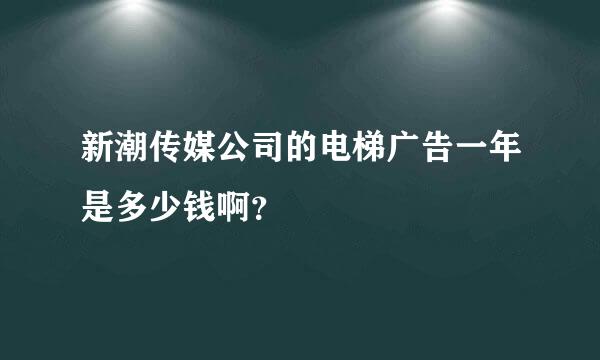 新潮传媒公司的电梯广告一年是多少钱啊？