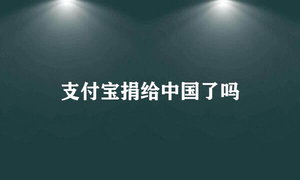 支付宝捐给中国了吗