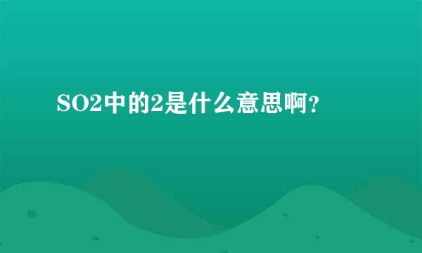 SO2中的2是什么意思啊？