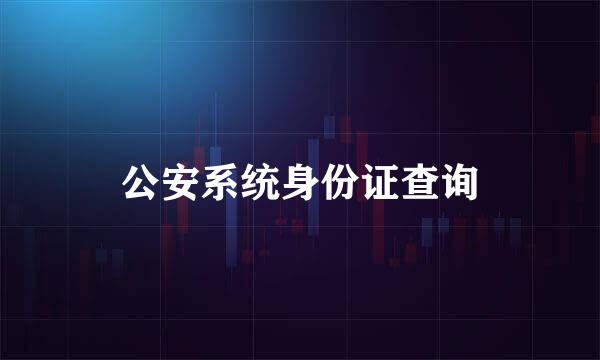 公安系统身份证查询