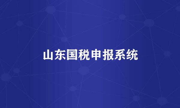 山东国税申报系统