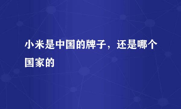 小米是中国的牌子，还是哪个国家的