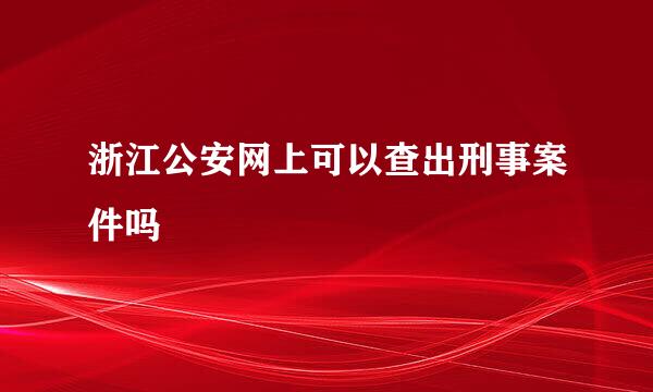 浙江公安网上可以查出刑事案件吗