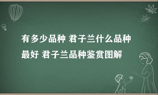 有多少品种 君子兰什么品种最好 君子兰品种鉴赏图解