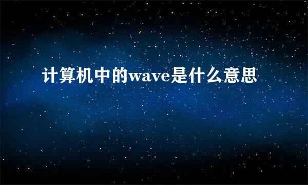 计算机中的wave是什么意思