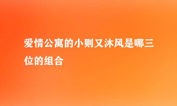 爱情公寓的小则又沐风是哪三位的组合