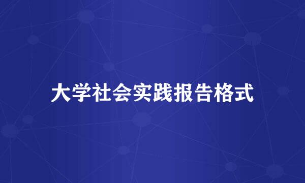 大学社会实践报告格式