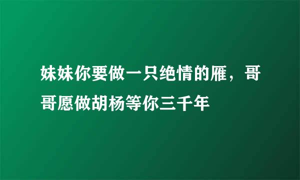 妹妹你要做一只绝情的雁，哥哥愿做胡杨等你三千年