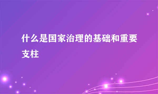 什么是国家治理的基础和重要支柱