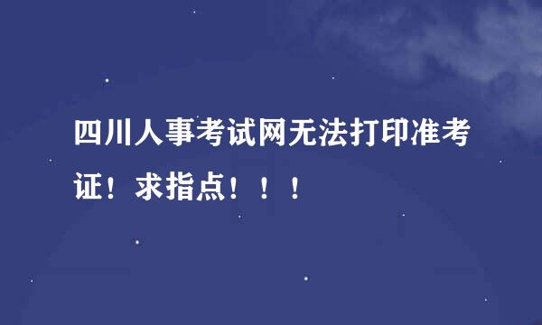 四川人事考试网无法打印准考证！求指点！！！