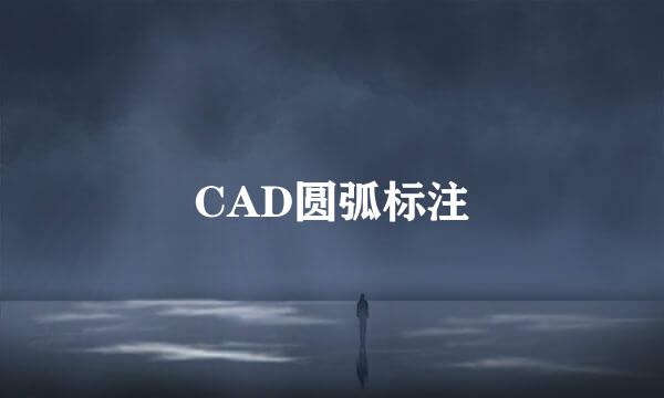 CAD圆弧标注