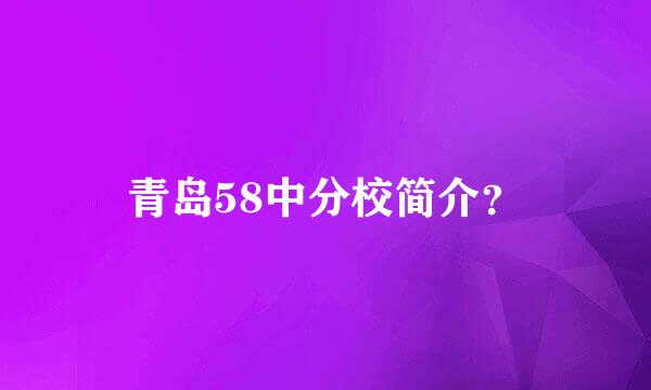 青岛58中分校简介？