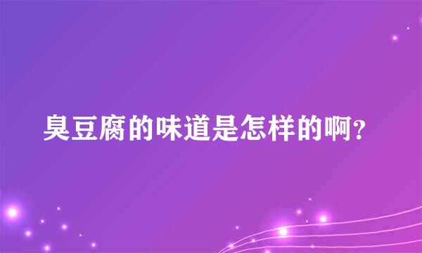 臭豆腐的味道是怎样的啊？