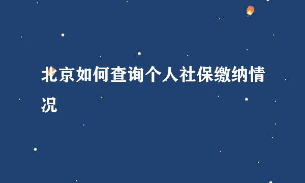 北京如何查询个人社保缴纳情况