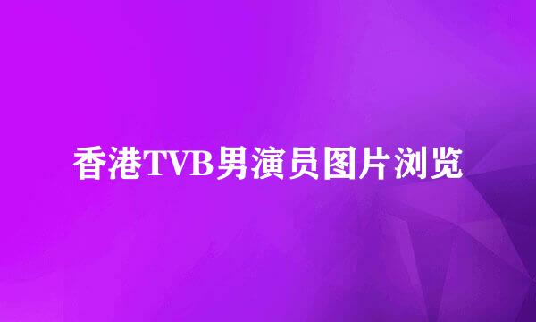 香港TVB男演员图片浏览