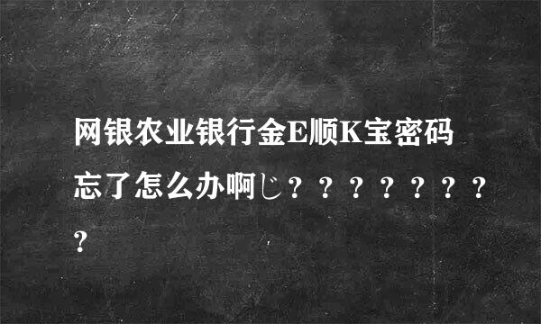 网银农业银行金E顺K宝密码忘了怎么办啊じ？？？？？？？？