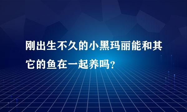 刚出生不久的小黑玛丽能和其它的鱼在一起养吗？