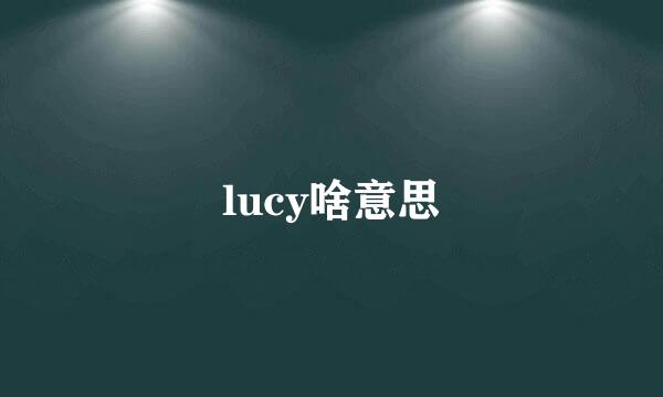 lucy啥意思