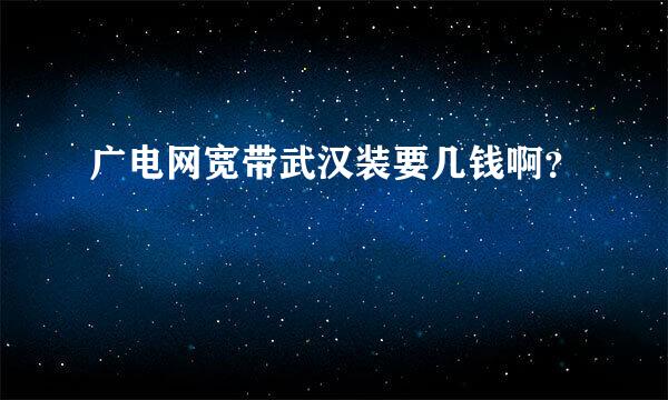 广电网宽带武汉装要几钱啊？