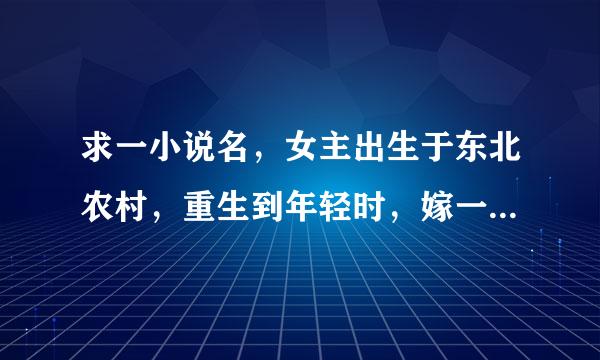 求一小说名，女主出生于东北农村，重生到年轻时，嫁一本村去参军的军人，婆婆是疯子。