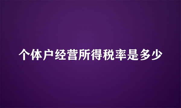 个体户经营所得税率是多少