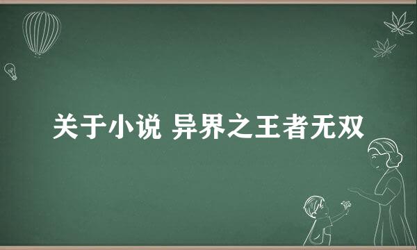 关于小说 异界之王者无双