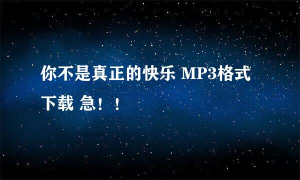 你不是真正的快乐 MP3格式下载 急！！