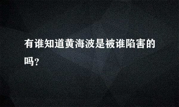 有谁知道黄海波是被谁陷害的吗？