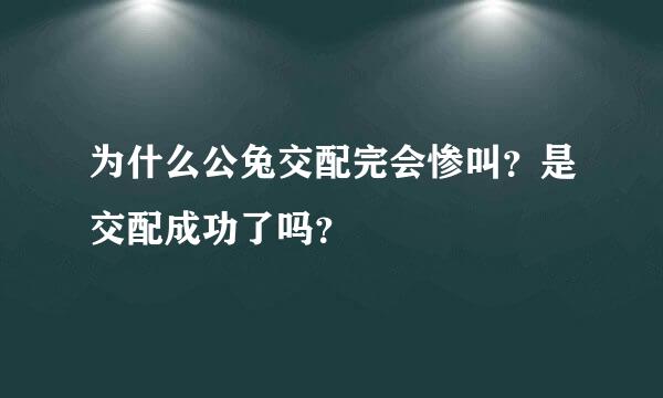 为什么公兔交配完会惨叫？是交配成功了吗？