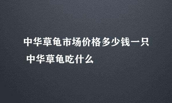 中华草龟市场价格多少钱一只 中华草龟吃什么