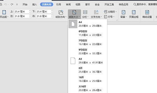 计算机二级Ms Office 2010纸张让调大小B5，我的电脑上没有这个选项