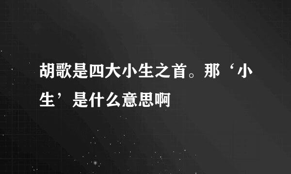 胡歌是四大小生之首。那‘小生’是什么意思啊