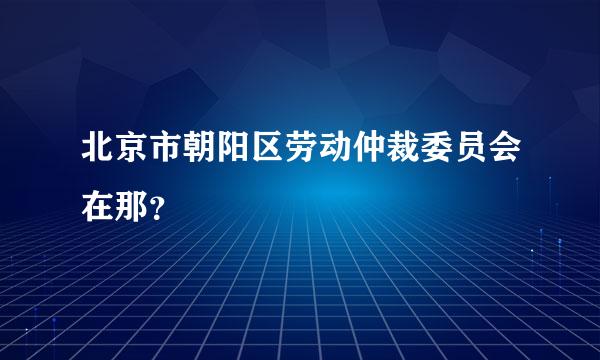 北京市朝阳区劳动仲裁委员会在那？