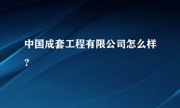 中国成套工程有限公司怎么样？