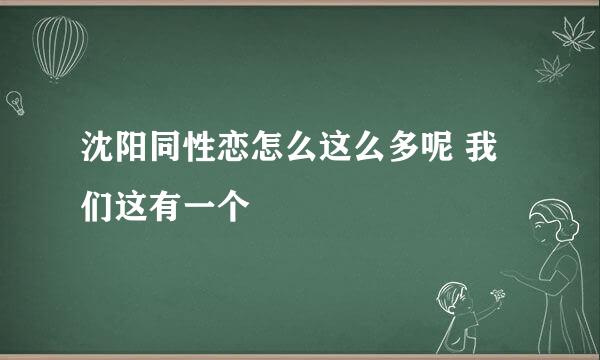 沈阳同性恋怎么这么多呢 我们这有一个