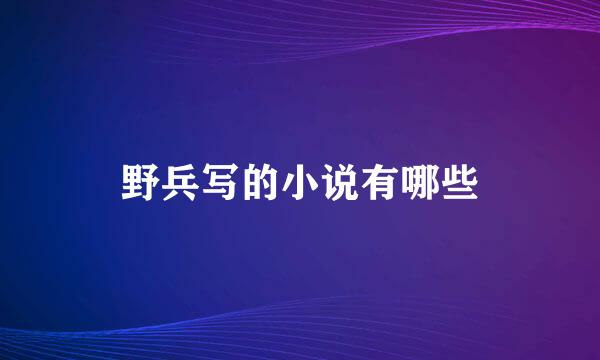 野兵写的小说有哪些