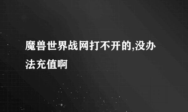 魔兽世界战网打不开的,没办法充值啊