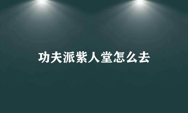 功夫派紫人堂怎么去