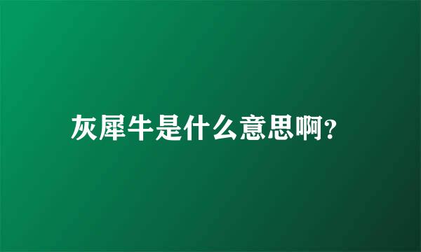 灰犀牛是什么意思啊？